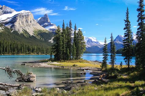 Bilder Jasper Nationalpark Kanada Franks Travelbox