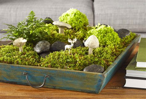 23 Miniature Moss Garden Ideas You Cannot Miss Sharonsable