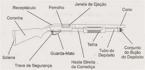 Projeto De Espingarda Pdf