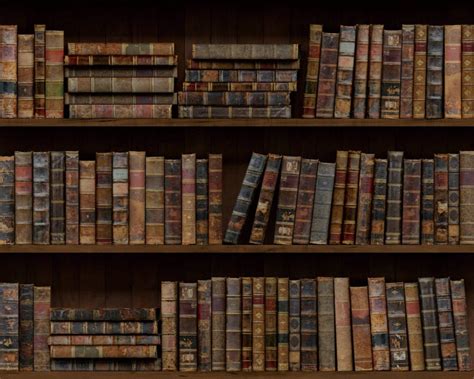 Vintage Bookshelf Backdrop Bookcase Backdrops For Library Etsy