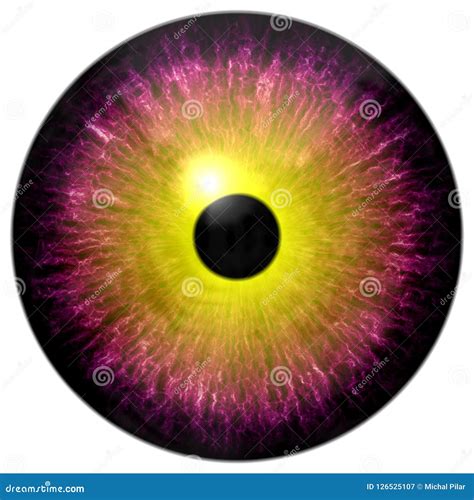 Eyeball Yellow Color Isolated On White Eye Graphic Yellow For Icon