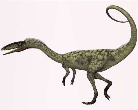 Coelophysis Is The Earliest Known Dinosaur It Was A Carnivorous