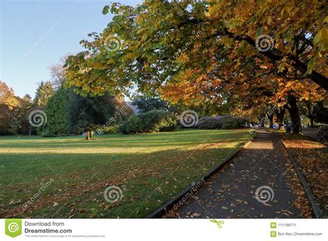Colors Of Fall At The Volunteer Park Seattle Washington Stock Image