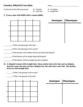 Cross a homozygous premature gray haired person to a homozygous normal haired person. Monohybrid And Dihybrid Crosses Worksheet - worksheet