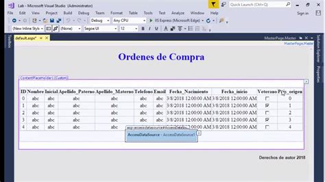 Conectar Un Datagridview A Una Base De Datos En Visual Studio Aspx