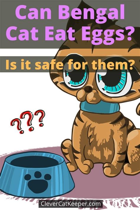 As with most foods, though, there are some guidelines you should follow when feeding your cats eggs in order to keep their. Can Bengal Cat Eat Eggs? (Is it safe for them)