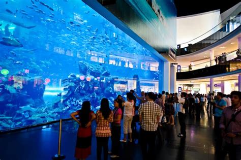 Underwater Zoo And Aquarium In The Worlds Largest Shopping Mall