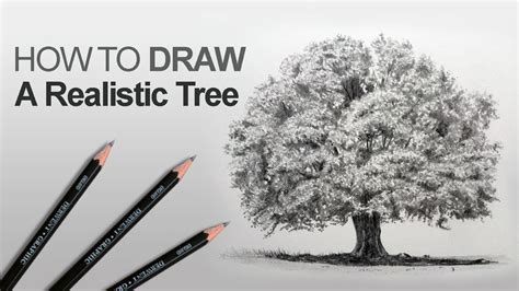 draw  tree realistic youtube