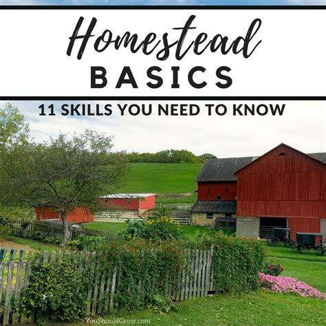 Homesteading Basics 11 Skills You Need To Know Homesteading