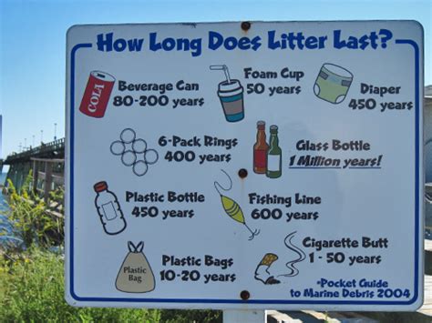 A Study About Reducing Litter At Beaches