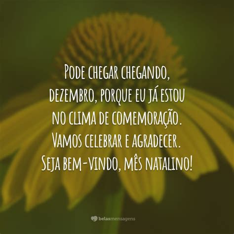 O Que Se Comemora Em Dezembro