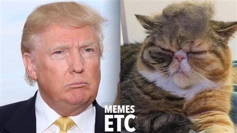 Feeling Meme Ish Donald Trump Comedy Galleries Paste