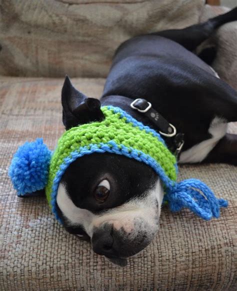Free Crochet Pattern For Dog Hat With Ear Holes Very Easy Pet Hat Keep