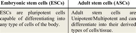 Difference Between Embryonic Stem Cells And Adult Stem Cells Download