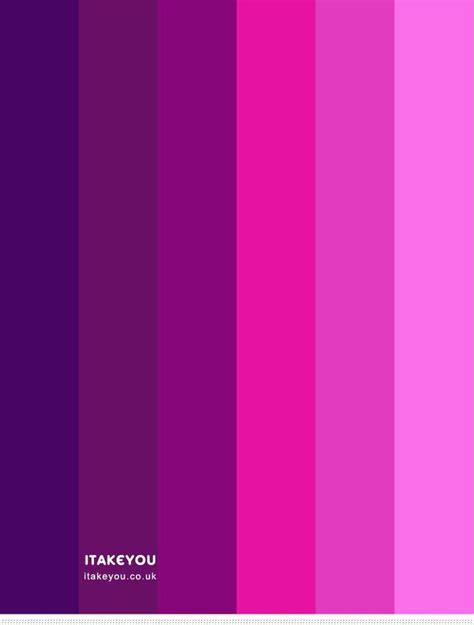 Indigo Magenta Pink And Purple Color Scheme Color Palette Pink