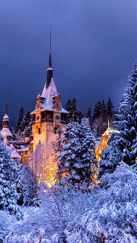 Wallpaper Romania Sinaia Peles Castle Winter Trees Snow Night