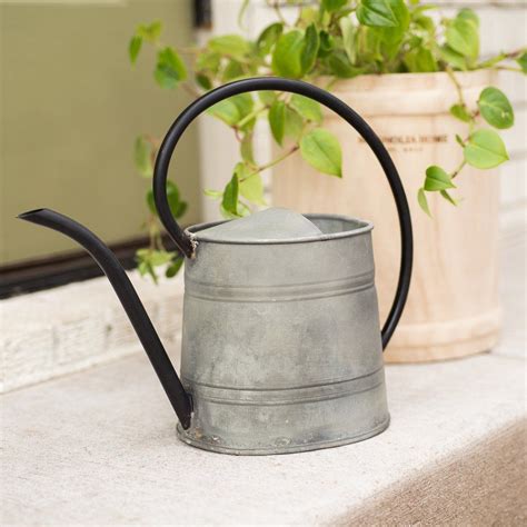 Here are a few basic tips on watering your indoor plants. Duffey Watering Can | Canning, Indoor plants, Magnolia homes