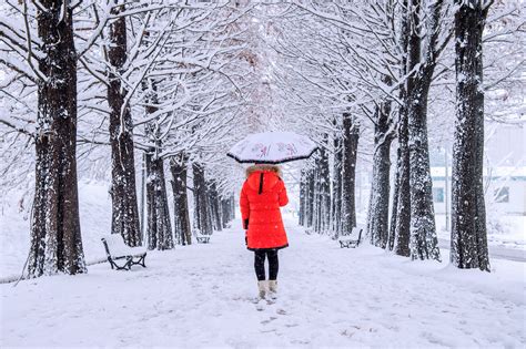 7 Tips For Taking Photographs In The Snow Bandh Explora