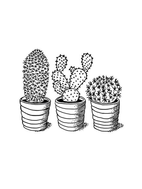 Drawingart blog instagram posts gramha net. Cactus Drawings - WELCOME TO THE KLEIN ART PAGE
