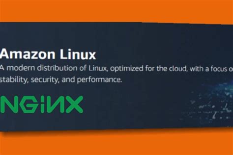How To Install Nginx On An Amazon Linux 2 Instance Developer Diary