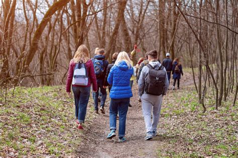 Group Of Friends Walking With Backpacks In Spring Forest From Back