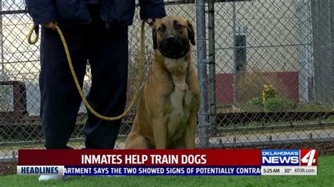 Pets And Prisoners Oklahoma Inmates Training Dogs To Give Them Better