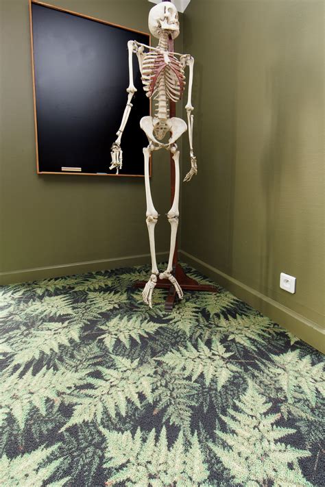 Check spelling or type a new query. What other flooring design at the Biology classroom than ...