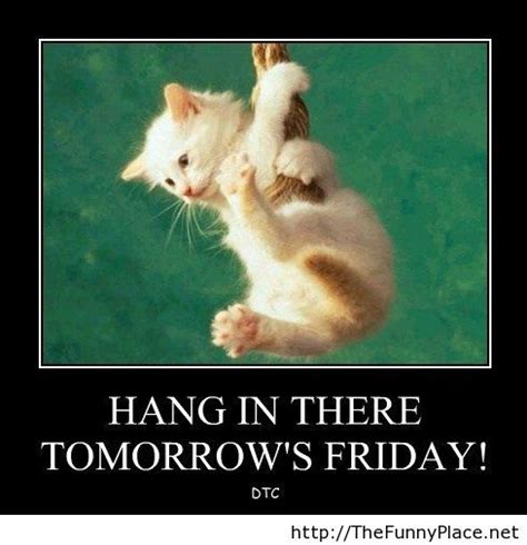 Tomorrows Friday Hang In There Thefunnyplace