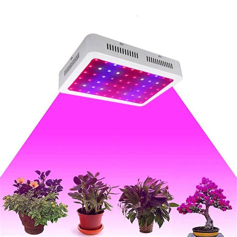 The scientists tested eight different grow light spectrum at two different light levels. US Stock! Full Spectrum LED Grow Light 600/1000/1200W ...