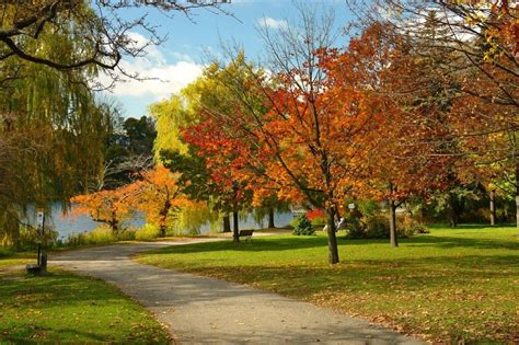 Fall Foliage Sightseeing In Toronto Parks Toronto Mom Now