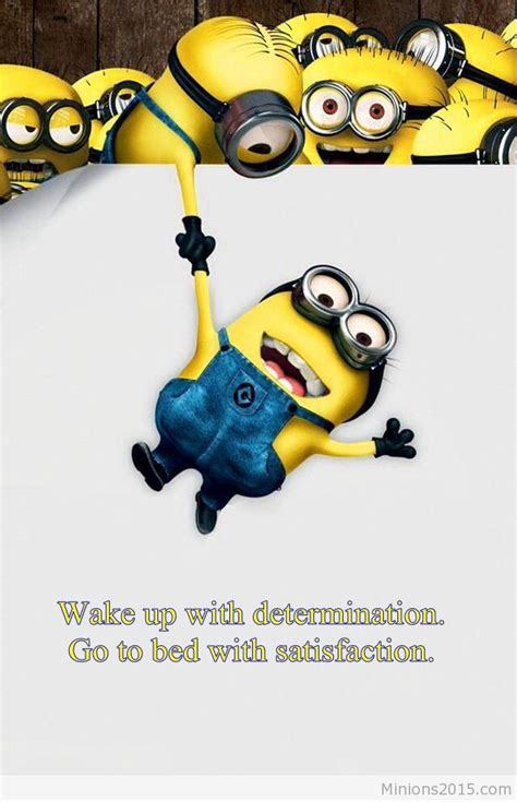 Funny Minion Wallpaper Wallpapersafari