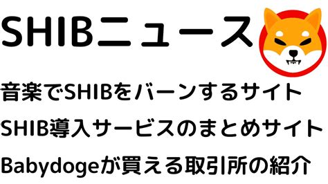 音楽やゲームを楽しみつつshibがバーンされるサイトの紹介！ビットコインは2022年末に2500万円に到達か tobu satellite jp