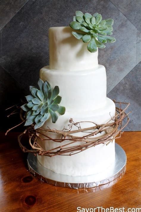 See more ideas about cake, cupcake cakes, cake decorating. Vine and Succulent Cake Design - Savor the Best