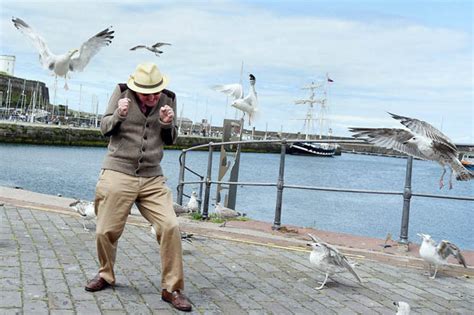 Seagulls Are Labelled The Top Public Enemy In A Cumbrian Town Daily Star