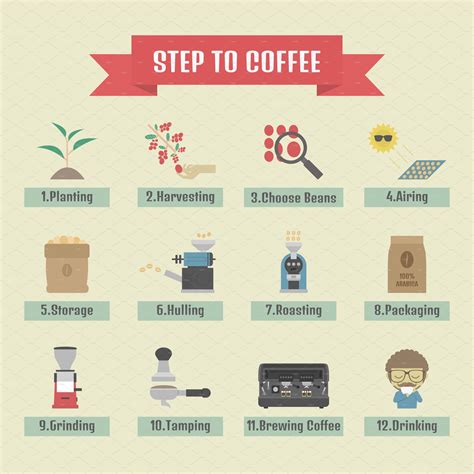 Coffee Process Coffee Process Coffee Infographic Coffee