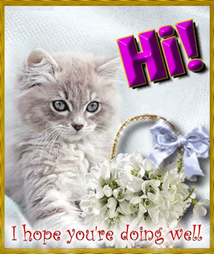 Kitten Says Hi Free Hi Ecards Greeting Cards 123 Greetings