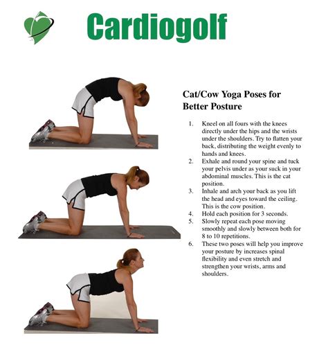 You can still practice yoga while pregnant. Cat Cow Yoga Poses - CardioGolf