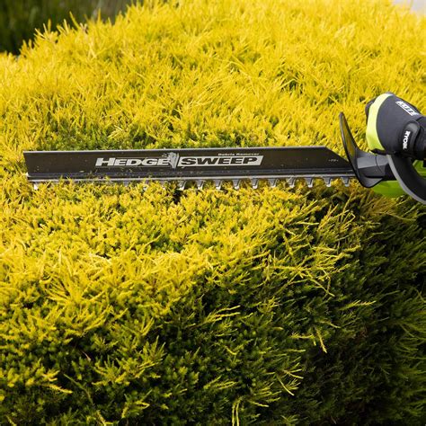 Ryobi 36V Cordless 60cm Hedge Trimmer 2.0Ah Kit - Bunnings Australia