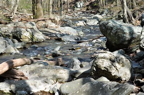 Another Trip To White Oak Canyon