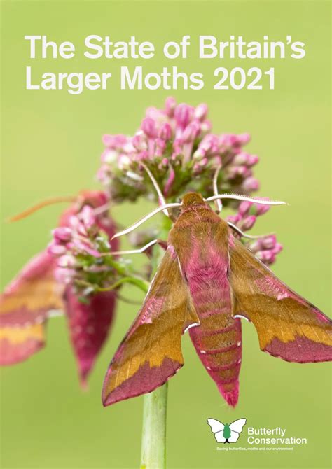 The State Of Britains Moths Butterfly Conservation