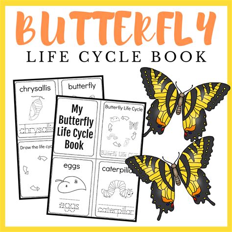 Simple Butterfly Life Cycle Printable Book For Preschoolers