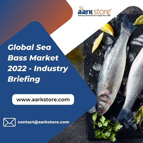 Global Sea Bass Market 2022 The Global Sea Bass Market Is… By Aarkstore123 Medium