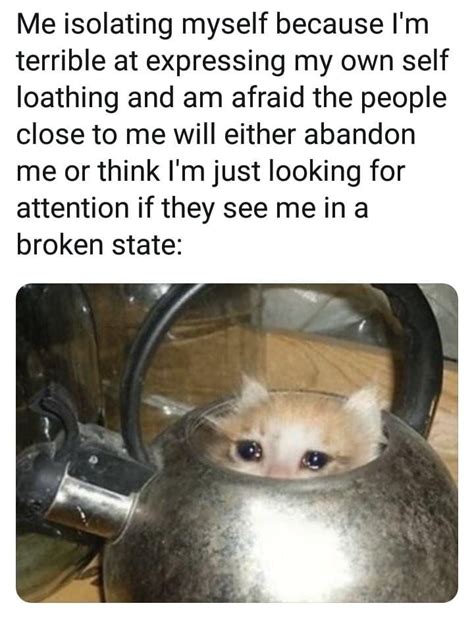 Crying Cat Memes Is The New Craze Among Catizens 30