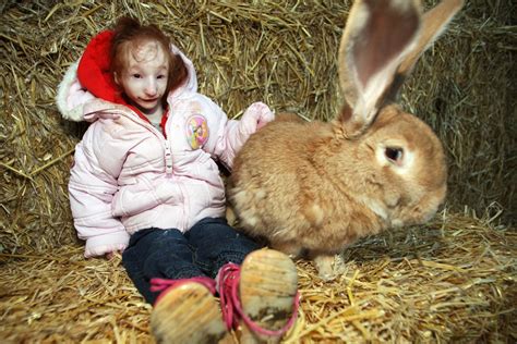 Worlds Smallest Girl Cozies Up With Giant Rabbits