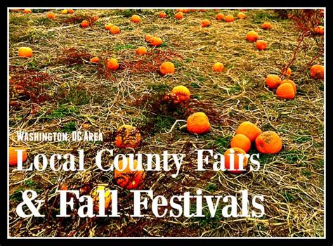 Local County Fairs And Fall Festivals Dc Life Magazine