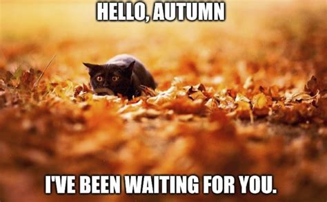 These Memes Are For All Of You Who Are Waiting For Fall Is It Fall Yet Memes