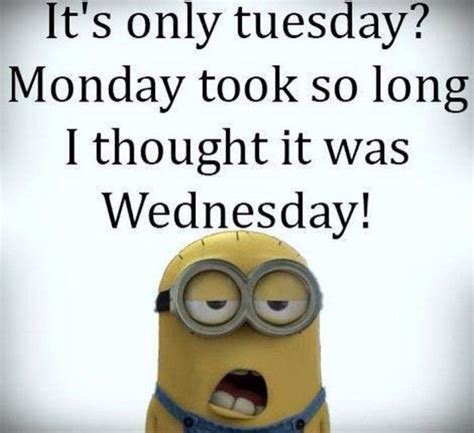 Find very good jokes, memes and quotes on our site. It's only Tuesday | Funny minion memes, Work quotes funny, Friday quotes funny