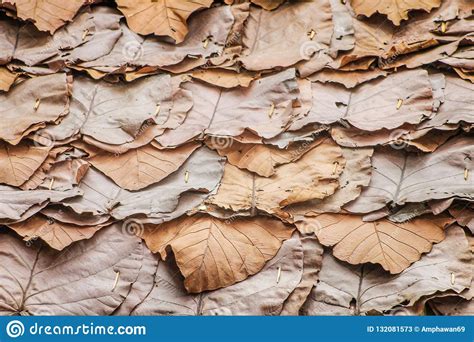 Traditional Thai Patterns Of Layer Dried Leaves Roof Texture Nature