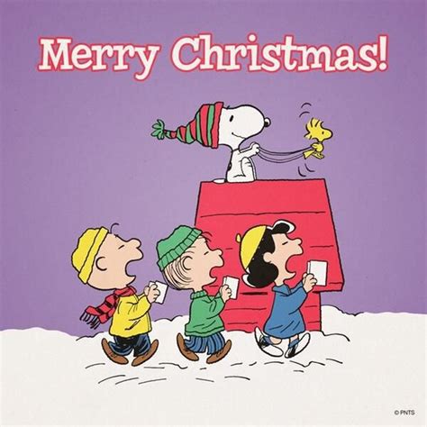 Merry Christmas Snoopy Quote Pictures Photos And Images For Facebook