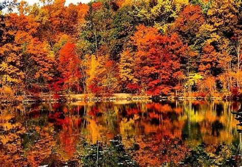 peak fall foliage season has arrived in n j here are 29 amazing spots bursting with color